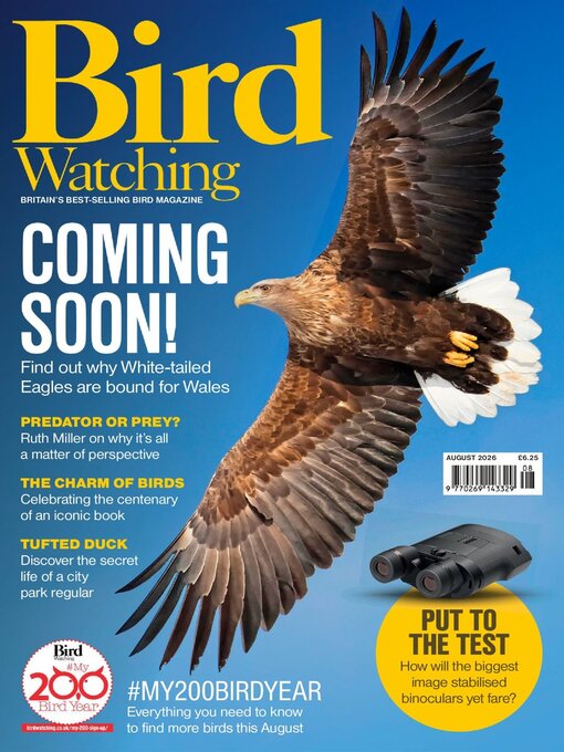 Cover image for Bird Watching 